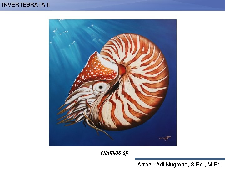 INVERTEBRATA II Nautilus sp Anwari Adi Nugroho, S. Pd. , M. Pd. 