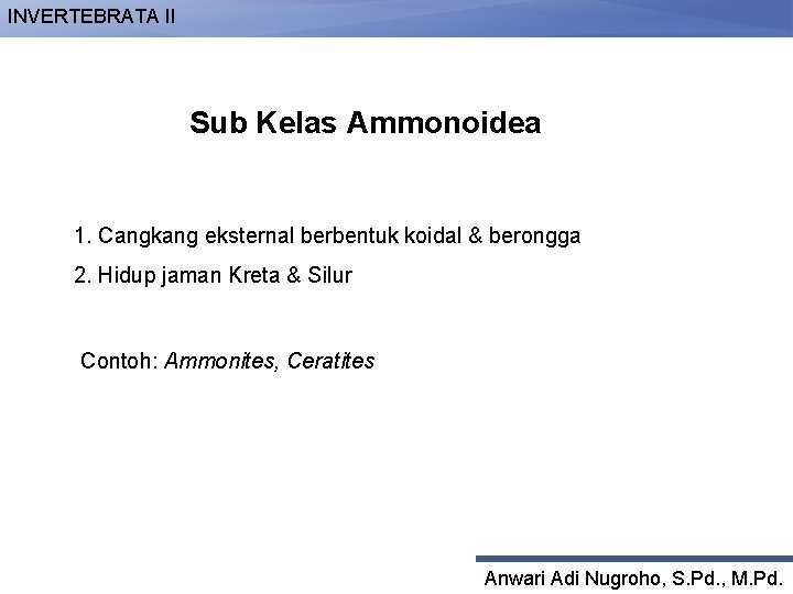 INVERTEBRATA II Sub Kelas Ammonoidea 1. Cangkang eksternal berbentuk koidal & berongga 2. Hidup