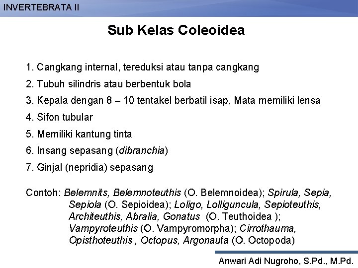 INVERTEBRATA II Sub Kelas Coleoidea 1. Cangkang internal, tereduksi atau tanpa cangkang 2. Tubuh