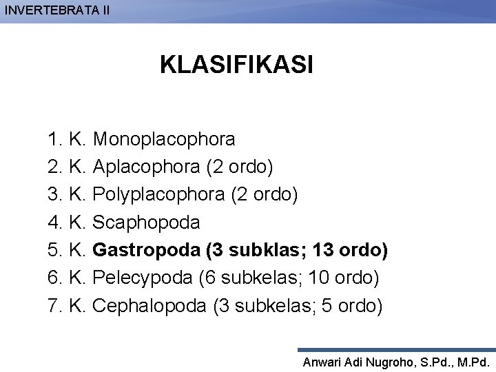 INVERTEBRATA II KLASIFIKASI 1. K. Monoplacophora 2. K. Aplacophora (2 ordo) 3. K. Polyplacophora