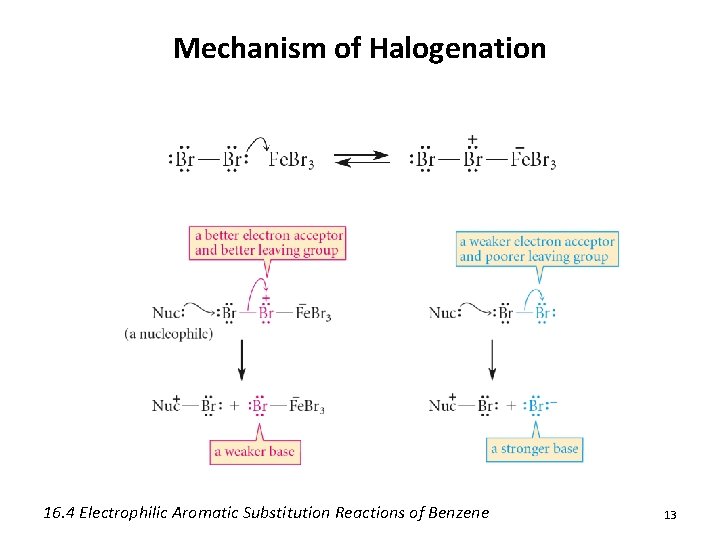 Mechanism of Halogenation 16. 4 Electrophilic Aromatic Substitution Reactions of Benzene 13 