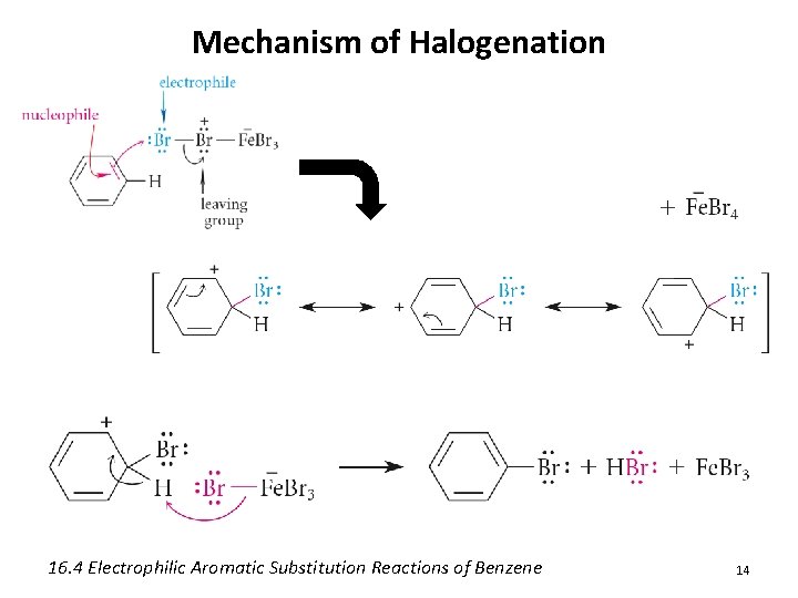 Mechanism of Halogenation 16. 4 Electrophilic Aromatic Substitution Reactions of Benzene 14 
