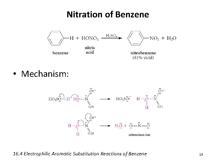 Nitration of Benzene • Mechanism: 16. 4 Electrophilic Aromatic Substitution Reactions of Benzene 19