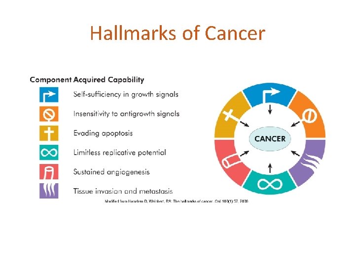 Hallmarks of Cancer 