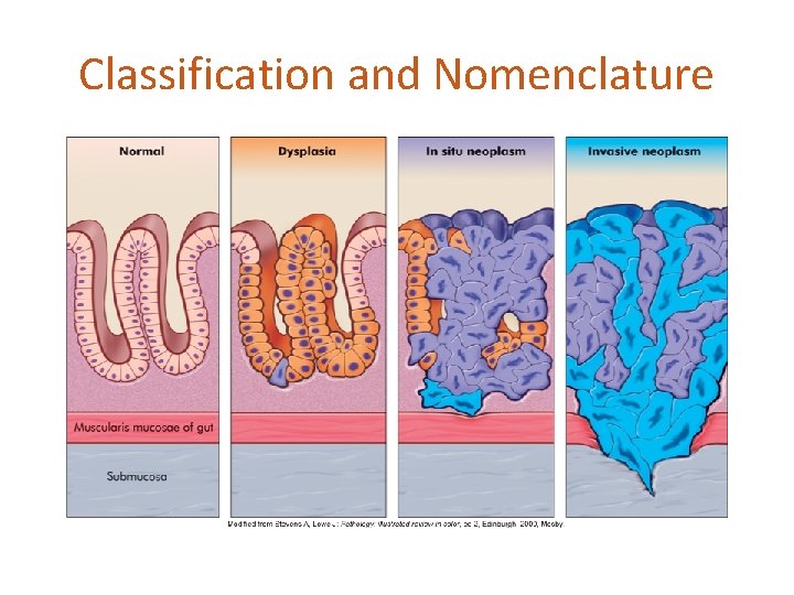 Classification and Nomenclature 