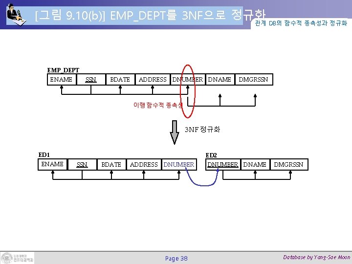 [그림 9. 10(b)] EMP_DEPT를 3 NF으로 정규화 관계 DB의 함수적 종속성과 정규화 EMP_DEPT ENAME