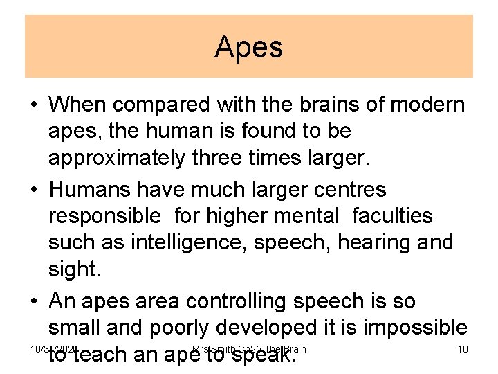Apes • When compared with the brains of modern apes, the human is found
