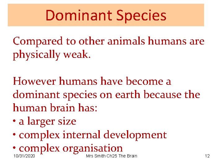 Dominant Species Compared to other animals humans are physically weak. However humans have become
