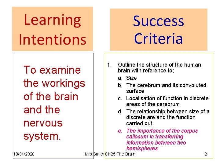 Learning Intentions Success Criteria To examine the workings of the brain and the nervous