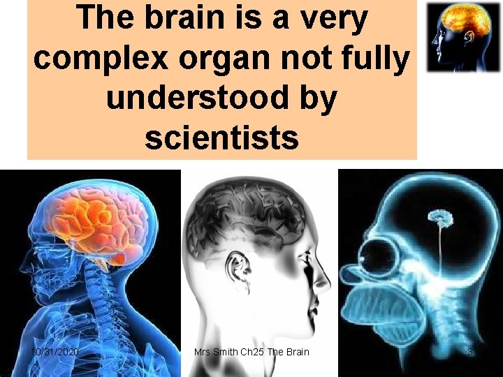 The brain is a very complex organ not fully understood by scientists VARIABLES 10/31/2020