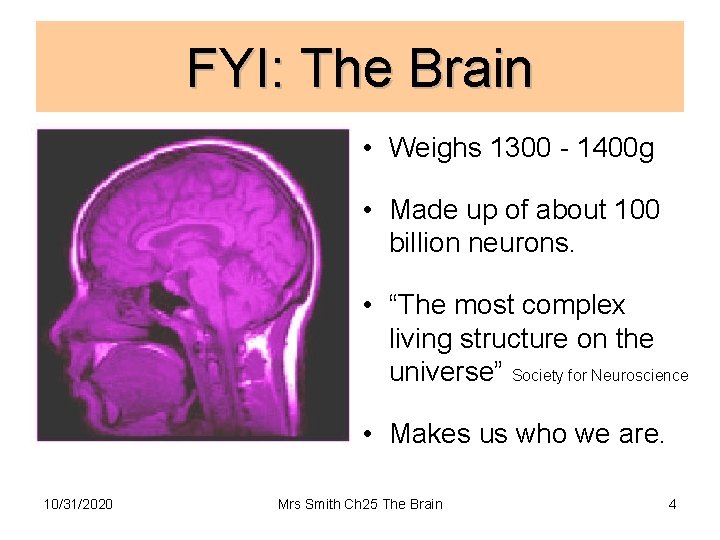 FYI: The Brain • Weighs 1300 - 1400 g • Made up of about