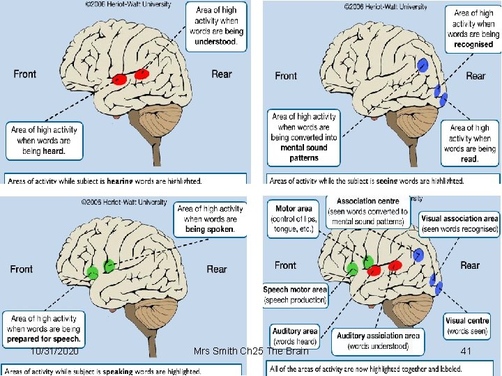 10/31/2020 Mrs Smith Ch 25 The Brain 41 