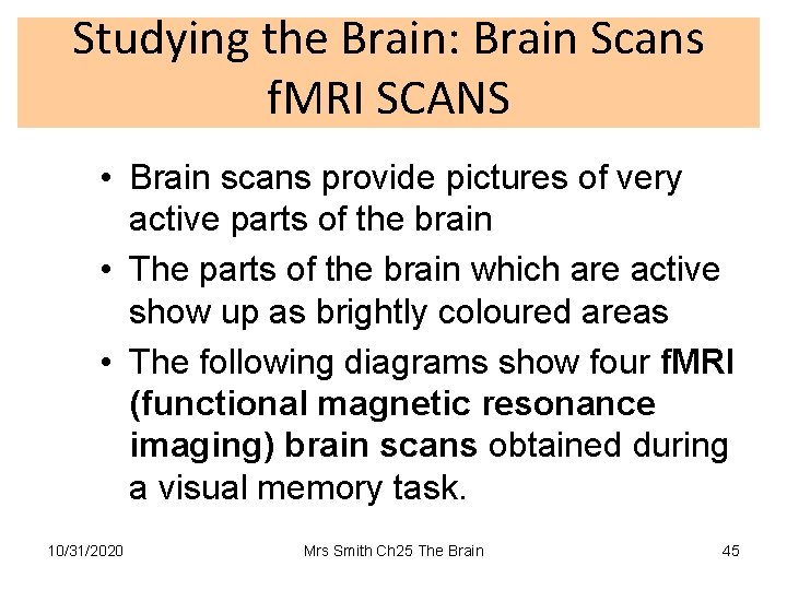 Studying the Brain: Brain Scans f. MRI SCANS • Brain scans provide pictures of