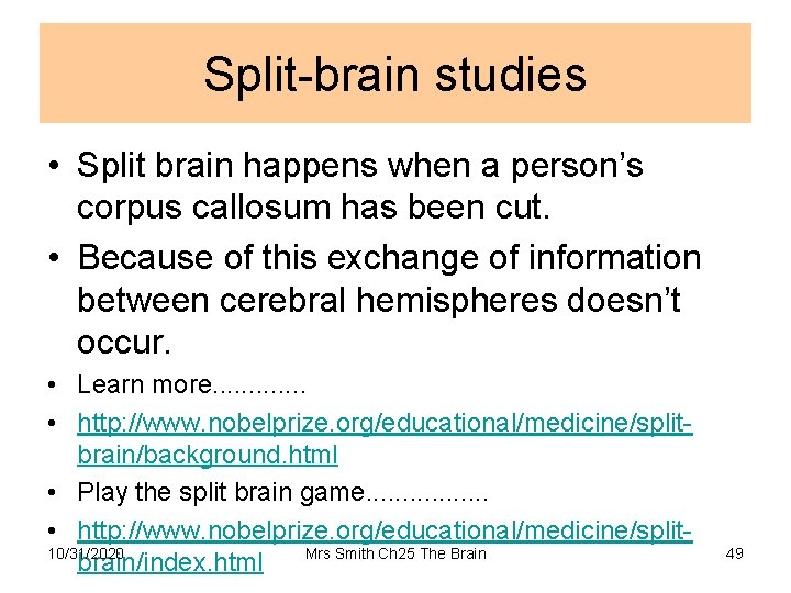 Split-brain studies • Split brain happens when a person’s corpus callosum has been cut.