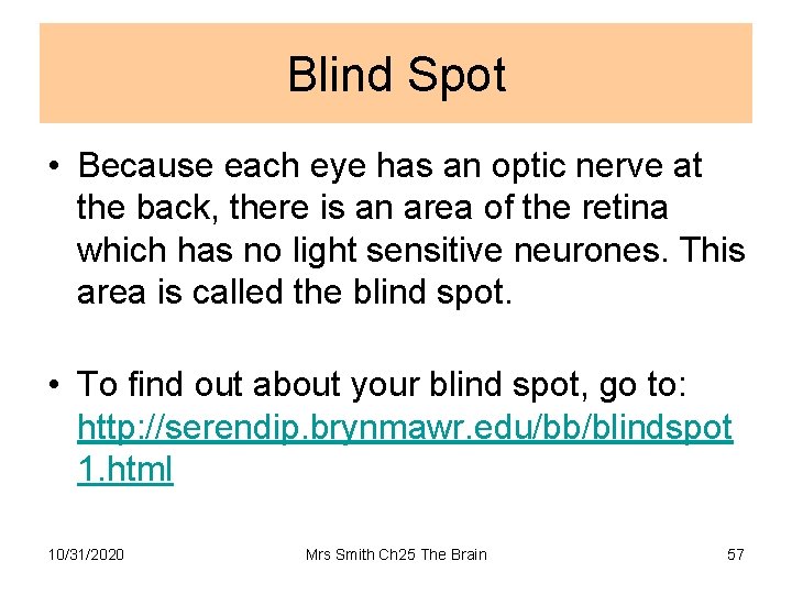 Blind Spot • Because each eye has an optic nerve at the back, there