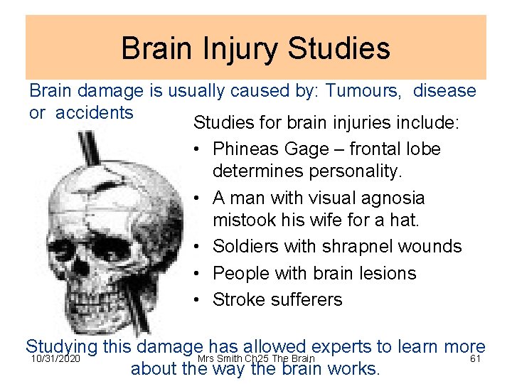 Brain Injury Studies Brain damage is usually caused by: Tumours, disease or accidents Studies