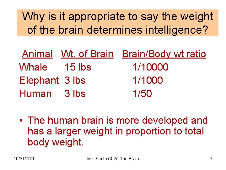 Why is it appropriate to say the weight of the brain determines intelligence? Animal