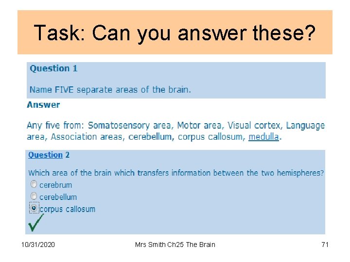 Task: Can you answer these? 10/31/2020 Mrs Smith Ch 25 The Brain 71 