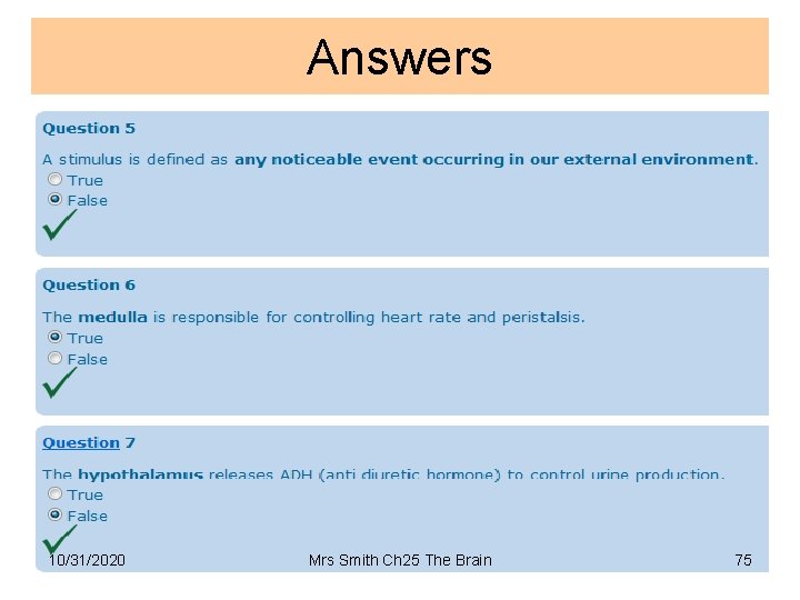 Answers 10/31/2020 Mrs Smith Ch 25 The Brain 75 