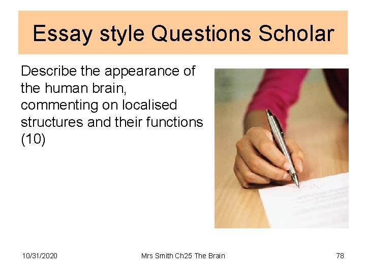 Essay style Questions Scholar Describe the appearance of the human brain, commenting on localised