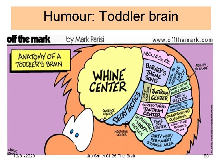 Humour: Toddler brain 10/31/2020 Mrs Smith Ch 25 The Brain 80 