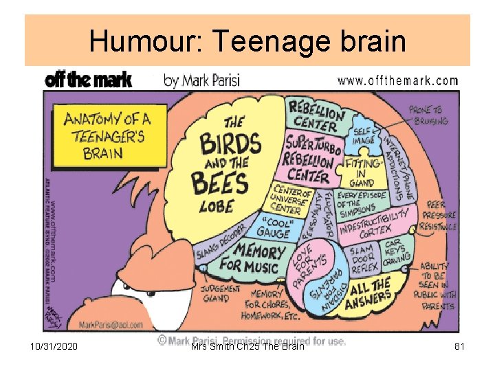 Humour: Teenage brain 10/31/2020 Mrs Smith Ch 25 The Brain 81 