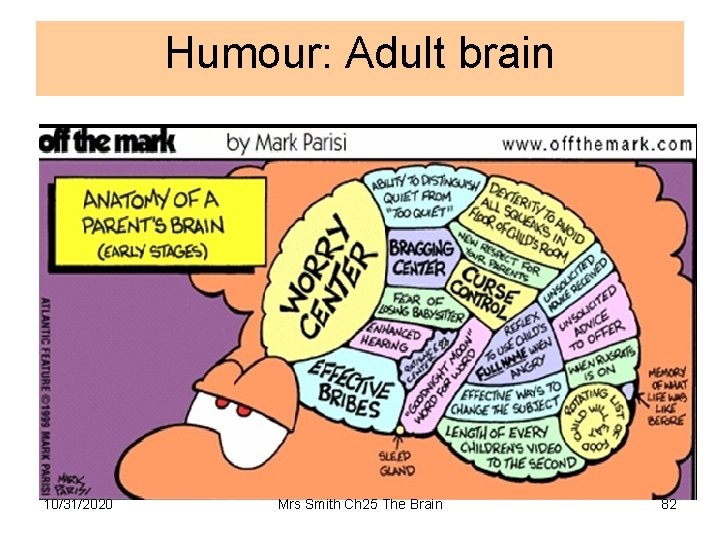 Humour: Adult brain 10/31/2020 Mrs Smith Ch 25 The Brain 82 