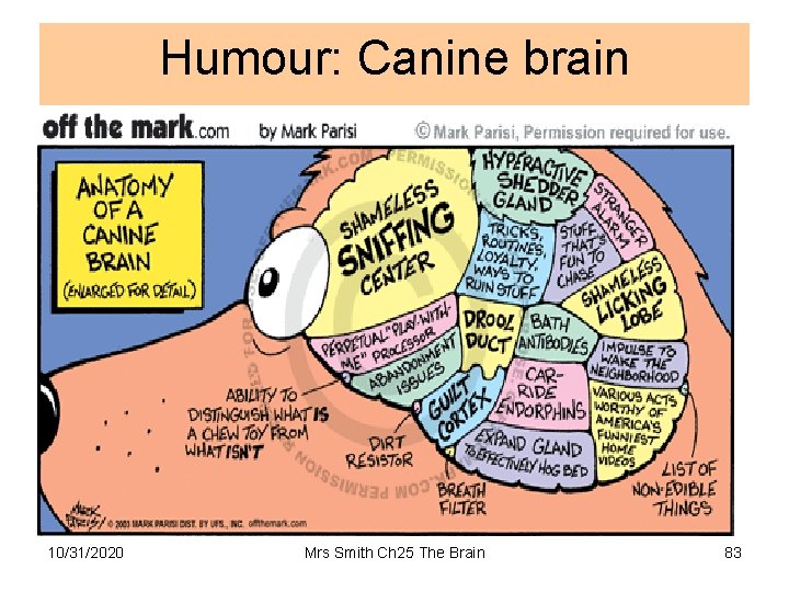 Humour: Canine brain 10/31/2020 Mrs Smith Ch 25 The Brain 83 