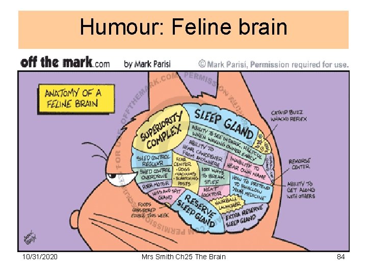 Humour: Feline brain 10/31/2020 Mrs Smith Ch 25 The Brain 84 