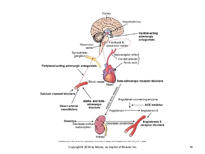 Copyright © 2014 by Mosby, an imprint of Elsevier Inc. 10 