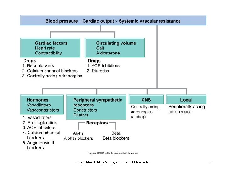 Copyright © 2014 by Mosby, an imprint of Elsevier Inc. 3 