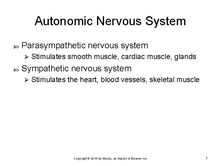 Autonomic Nervous System Parasympathetic nervous system Ø Stimulates smooth muscle, cardiac muscle, glands Sympathetic