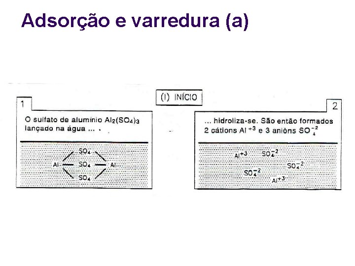 Adsorção e varredura (a) 