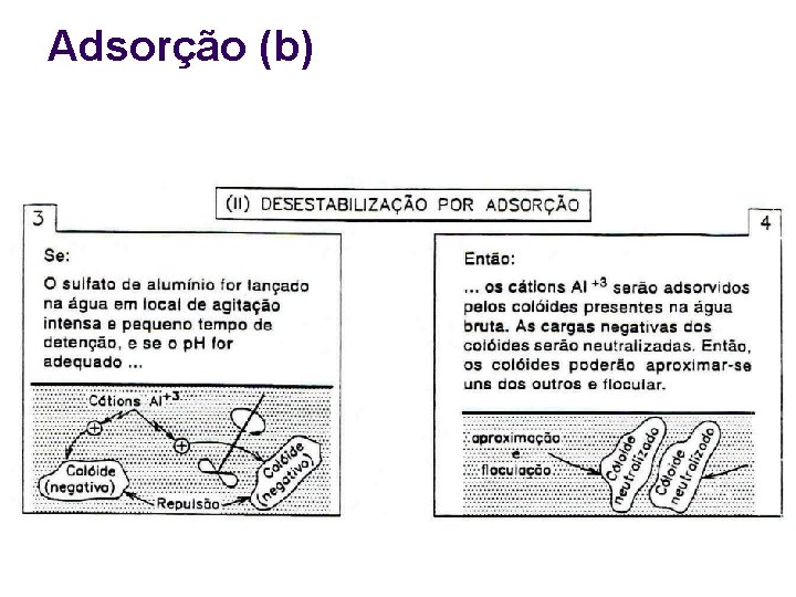 Adsorção (b) 