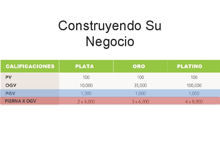 Construyendo Su Negocio PIERNA X OGV 