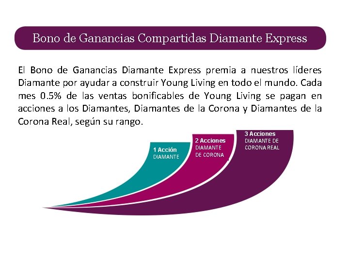 Bono de Ganancias Compartidas Diamante Express El Bono de Ganancias Diamante Express premia a