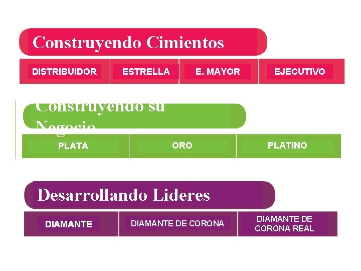 Construyendo Cimientos DISTRIBUIDOR E. MAYOR ESTRELLA EJECUTIVO Construyendo su Negocio PLATA ORO PLATINO Desarrollando