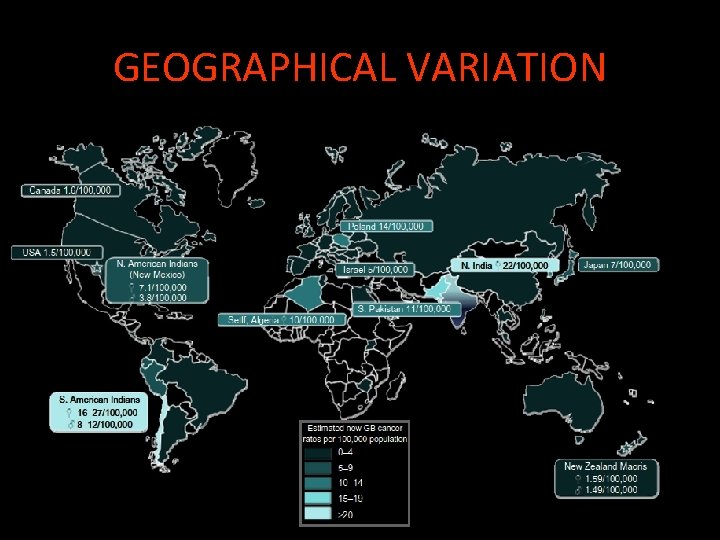 GEOGRAPHICAL VARIATION 