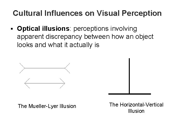 Cultural Influences on Visual Perception § Optical illusions: perceptions involving apparent discrepancy between how