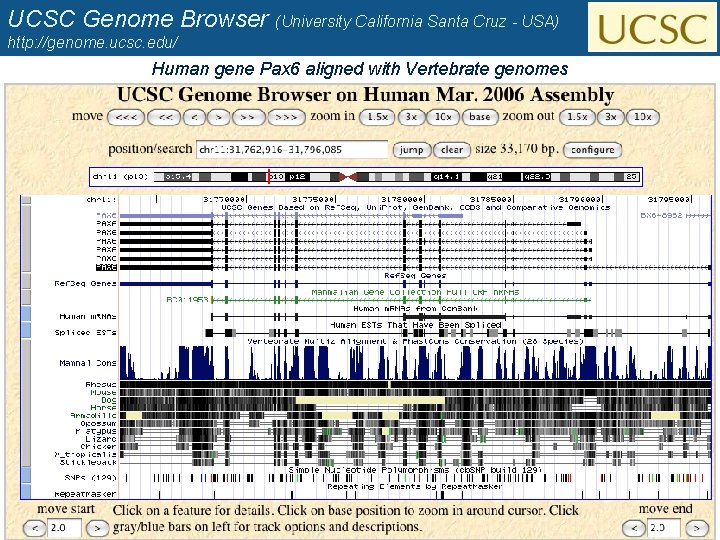 UCSC Genome Browser (University California Santa Cruz - USA) http: //genome. ucsc. edu/ Human