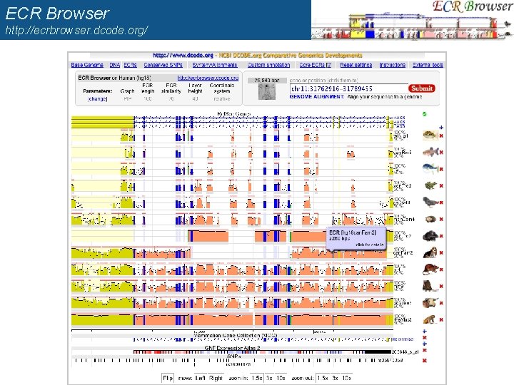 ECR Browser http: //ecrbrowser. dcode. org/ 