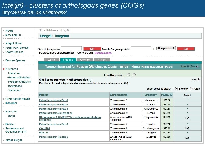Integr 8 - clusters of orthologous genes (COGs) http: //www. ebi. ac. uk/integr 8/