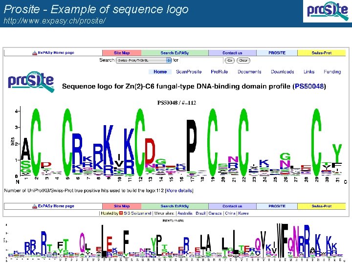 Prosite - Example of sequence logo http: //www. expasy. ch/prosite/ 