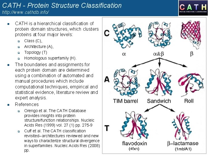 CATH - Protein Structure Classification http: //www. cathdb. info/ n CATH is a hierarchical