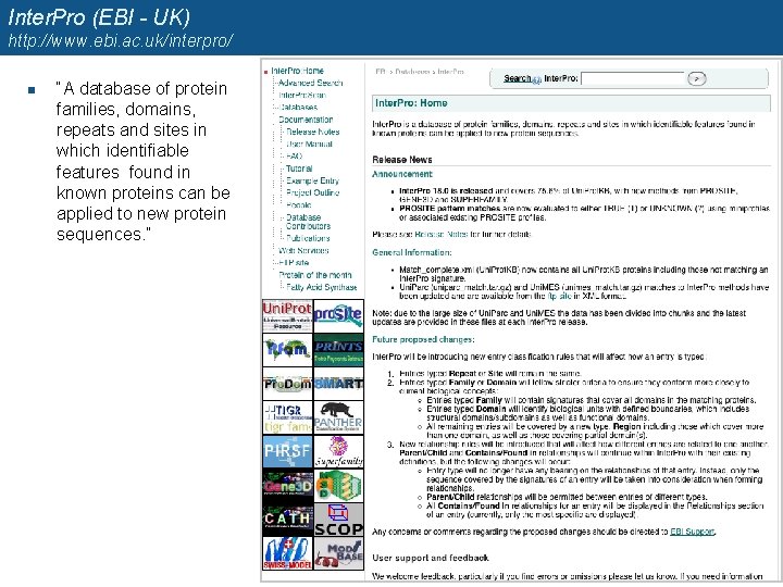 Inter. Pro (EBI - UK) http: //www. ebi. ac. uk/interpro/ n “A database of