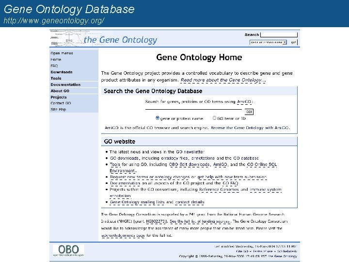 Gene Ontology Database http: //www. geneontology. org/ 