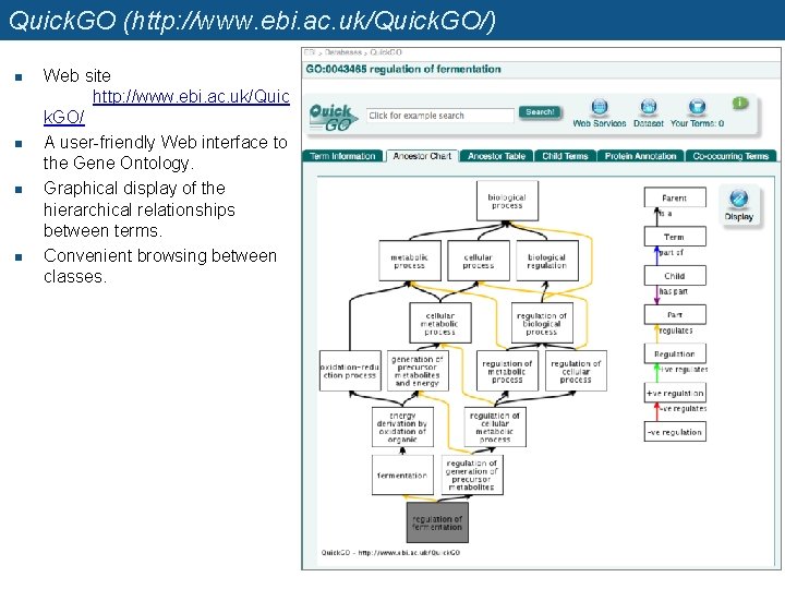 Quick. GO (http: //www. ebi. ac. uk/Quick. GO/) n n Web site http: //www.