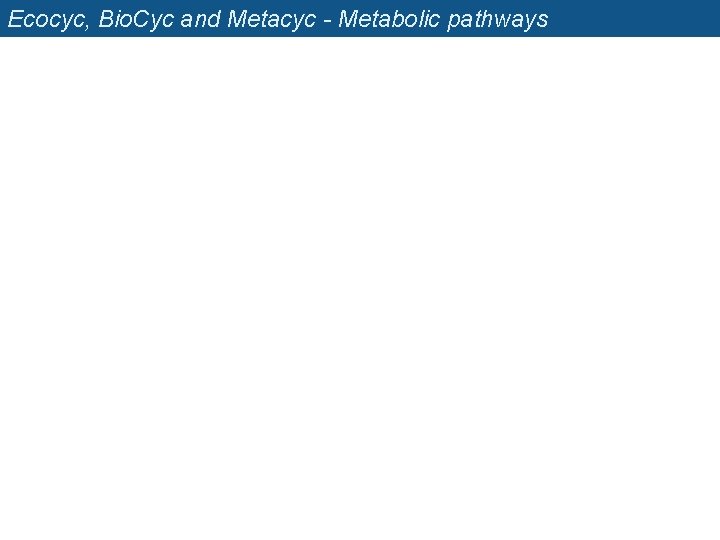 Ecocyc, Bio. Cyc and Metacyc - Metabolic pathways 