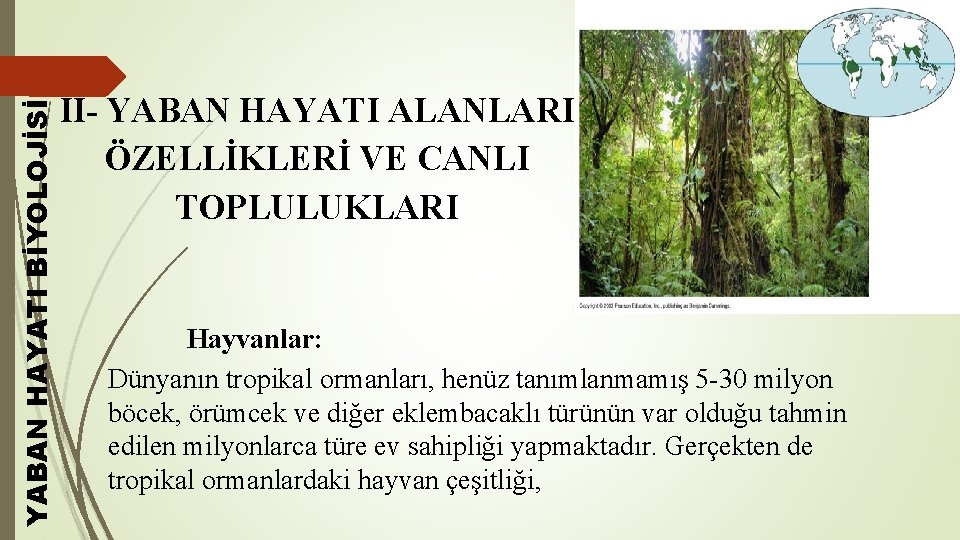 YABAN HAYATI BİYOLOJİSİ II- YABAN HAYATI ALANLARI ÖZELLİKLERİ VE CANLI TOPLULUKLARI Hayvanlar: Dünyanın tropikal