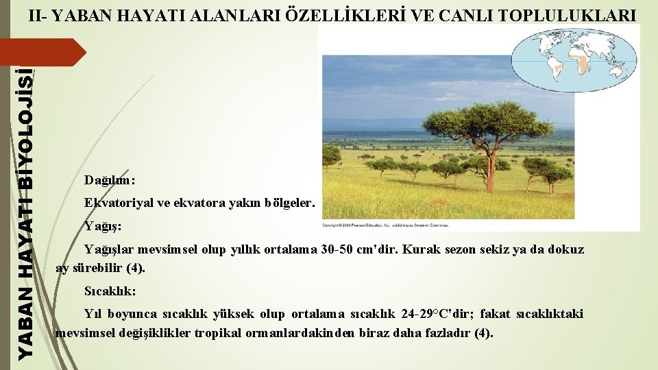 YABAN HAYATI BİYOLOJİSİ II- YABAN HAYATI ALANLARI ÖZELLİKLERİ VE CANLI TOPLULUKLARI Dağılım: Ekvatoriyal ve